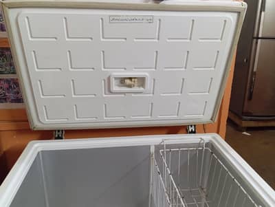 PEL deep freezers for sale