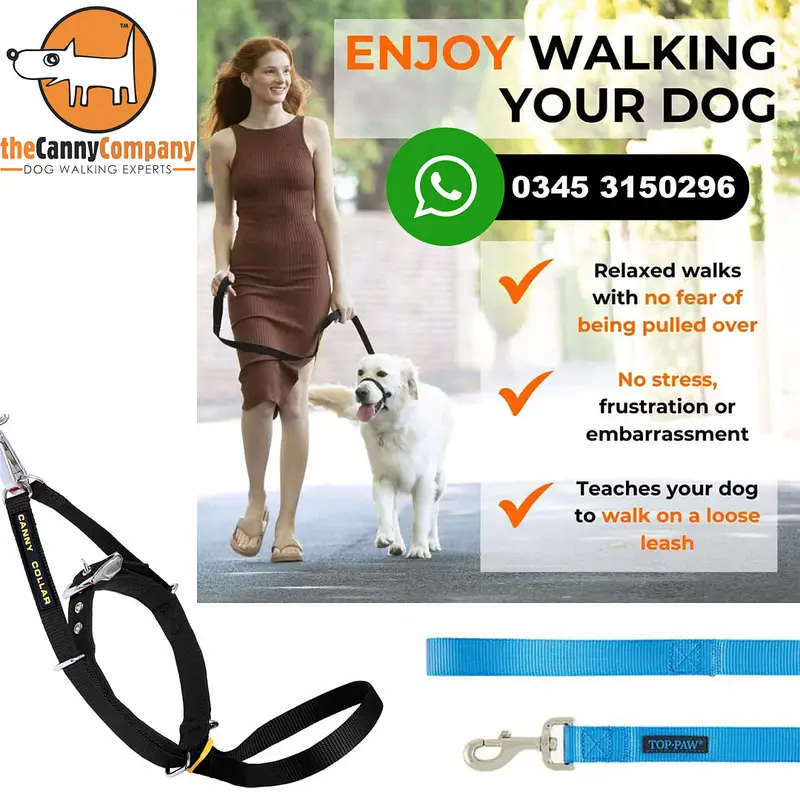 Canny Dog Collar with Leash
