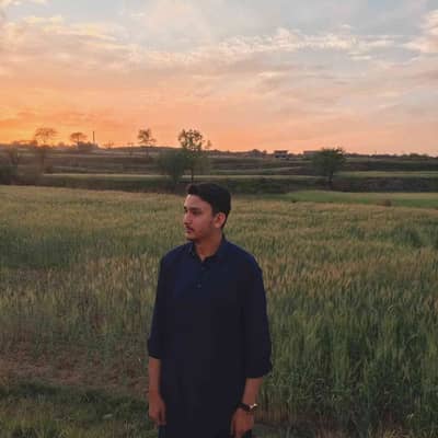 Mirza Waleed