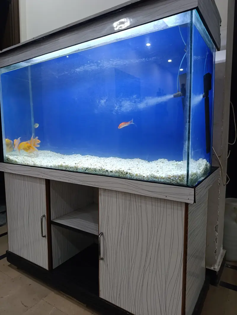 fish aquarium — photo 3
