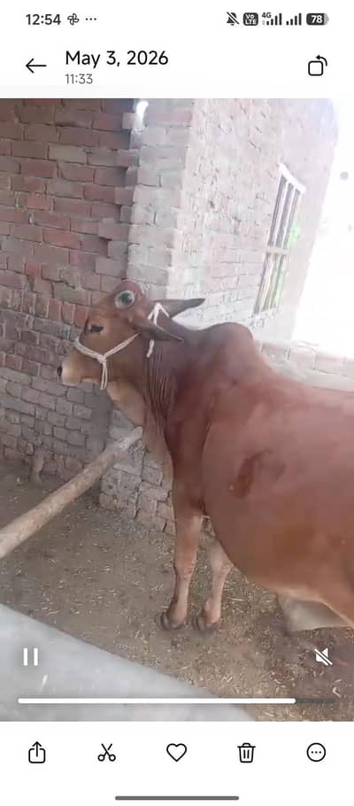 500000 ki jodi