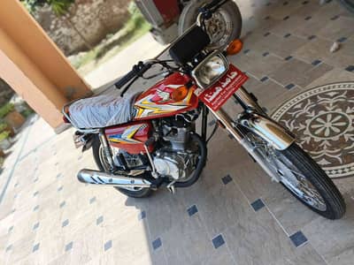 Ch Ayan Mayo Rajput