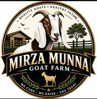 Goats 