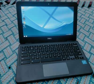 Dell 3100 Urgent sale