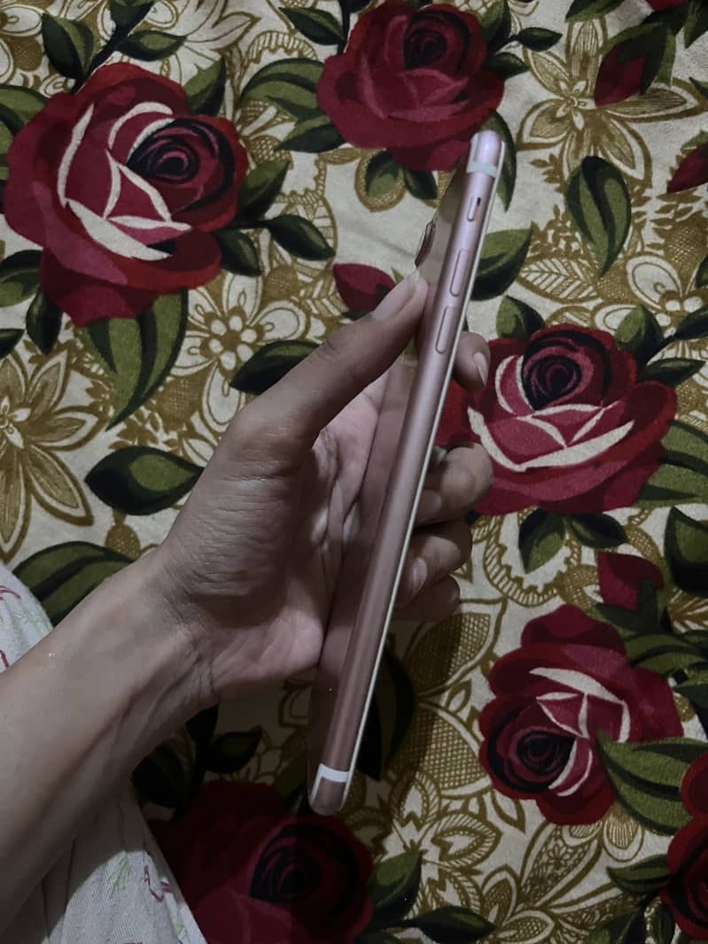 IPhone 7 Plus 5