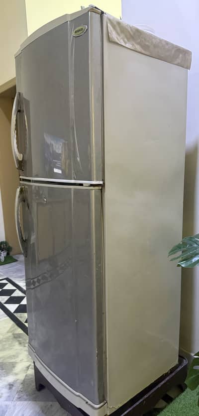 Waves fridge