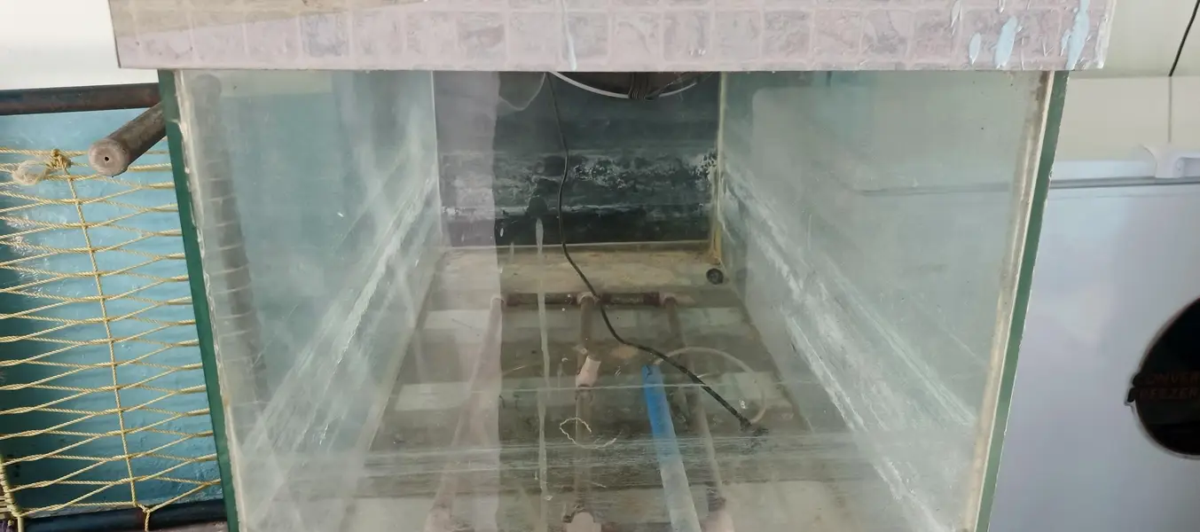 fish aquarium 3ft 1.5ft aur sat ma filter be aur heather be aur pump — photo 2