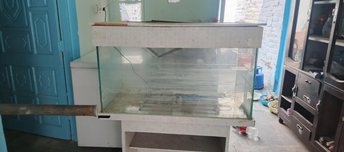 fish aquarium 3ft 1.5ft aur sat ma filter be aur heather be aur pump — photo 4