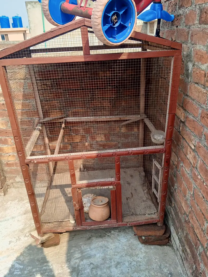 pinjra for sale