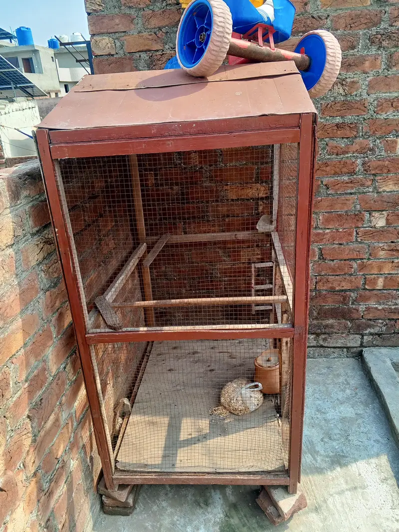 pinjra for sale — photo 4