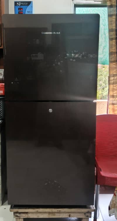 Changchung Ruba Company Fridge