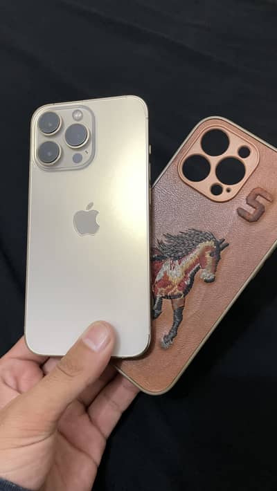 Iphone 13 pro non pta fu