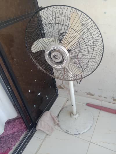 12 wolt Fan