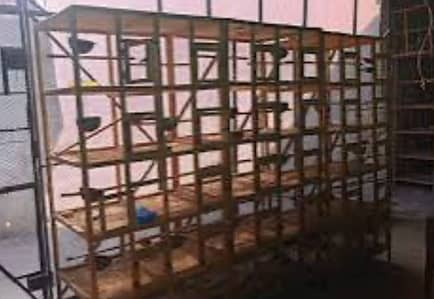 Cages For Sale 5 Portion Best Built Quality