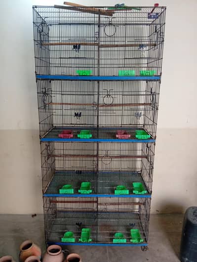8 portion cage urgent sell