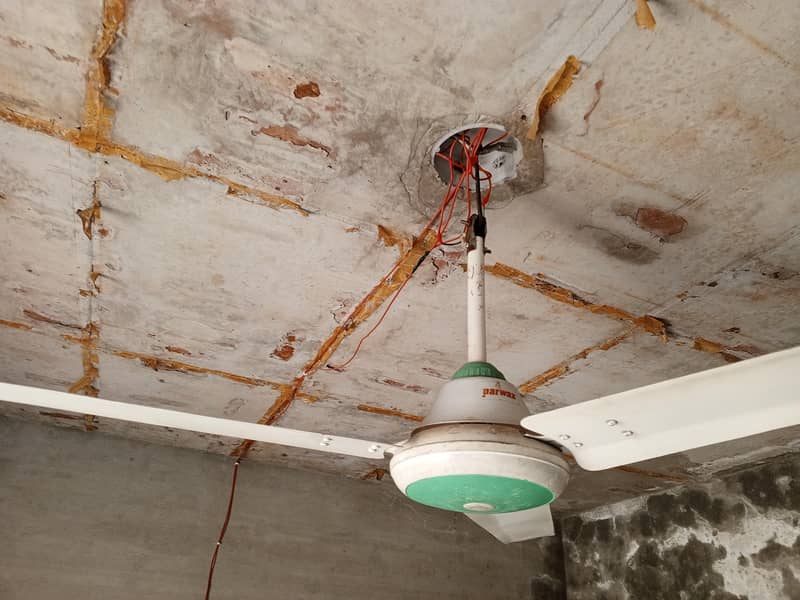 Ceiling Fan 0