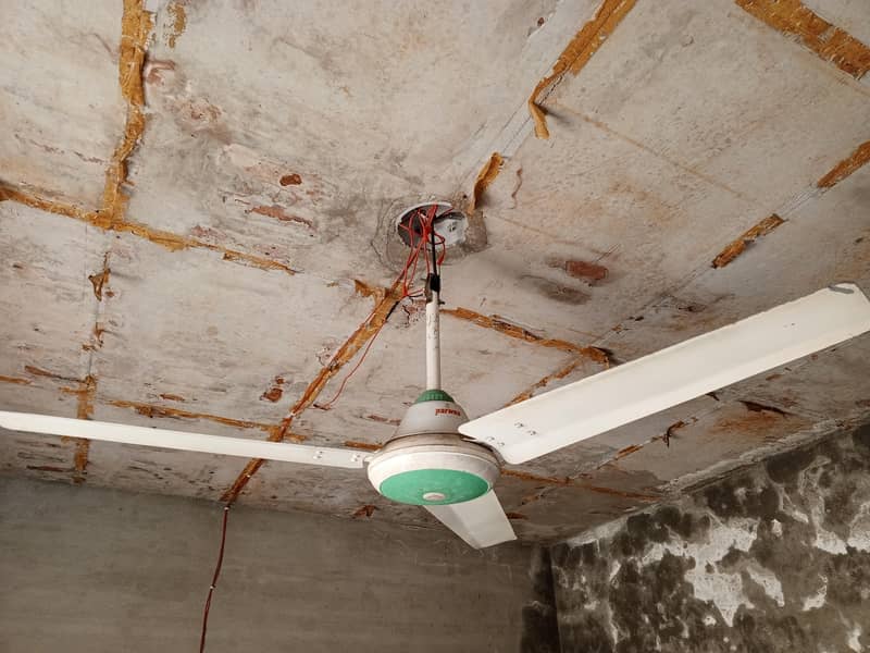 Ceiling Fan 1