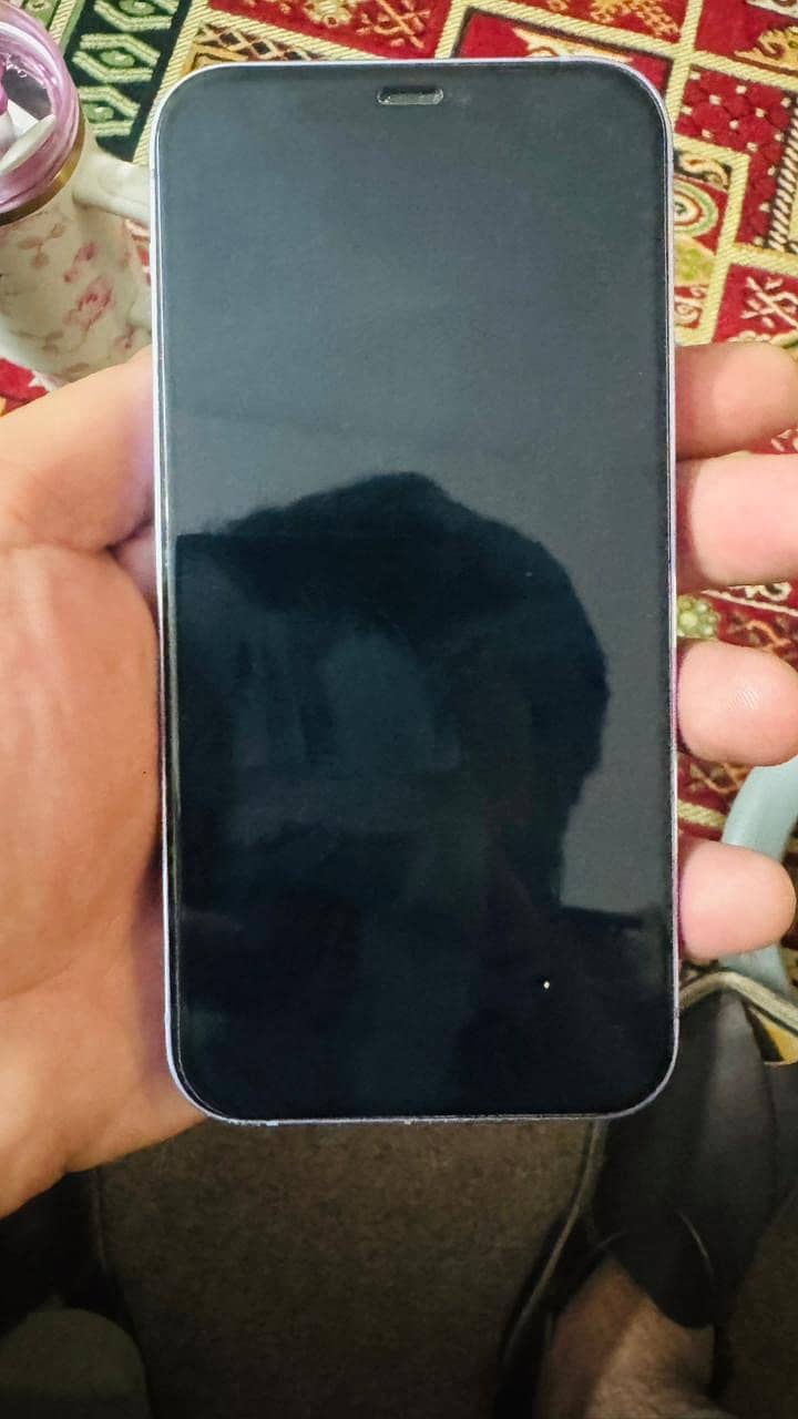 Apple iPhone 12 0