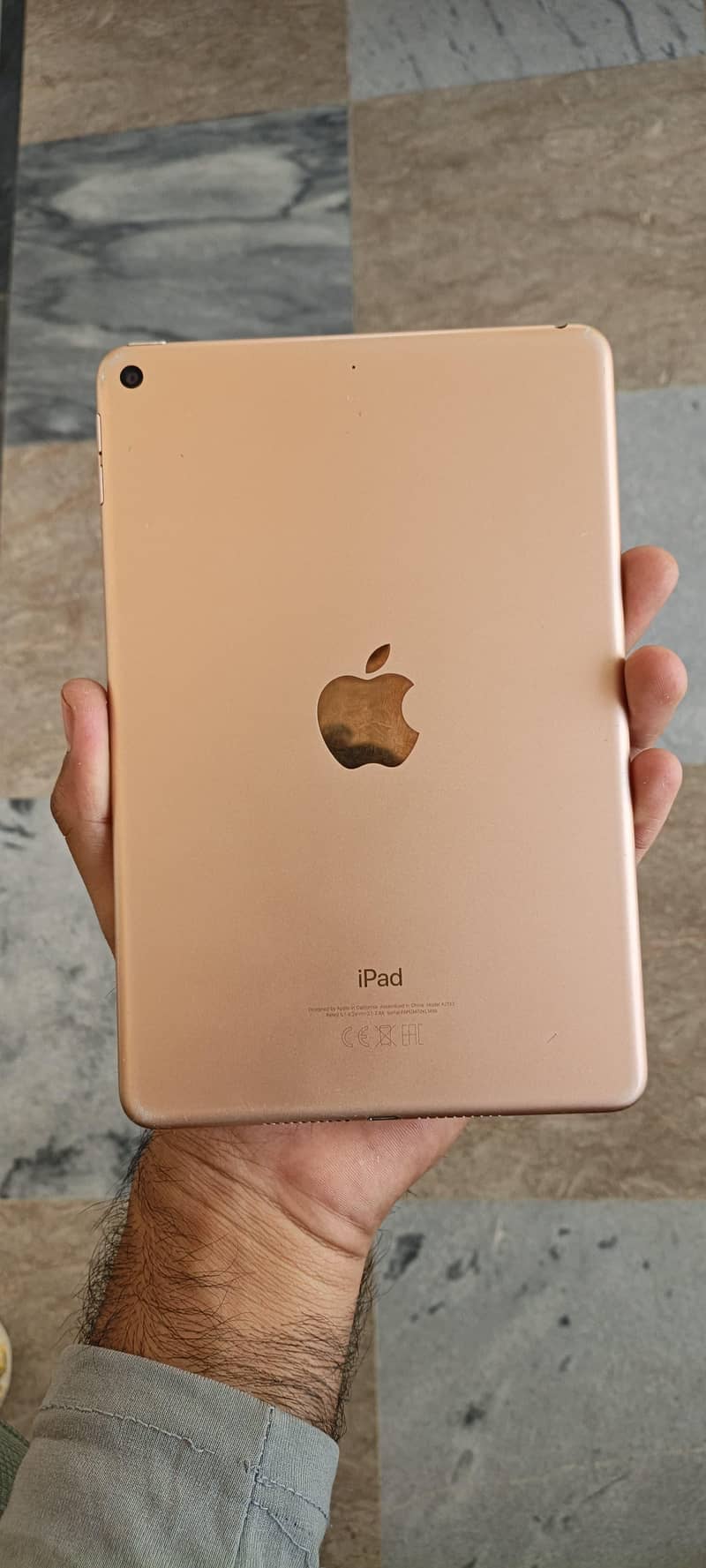 ipad mini 5 0