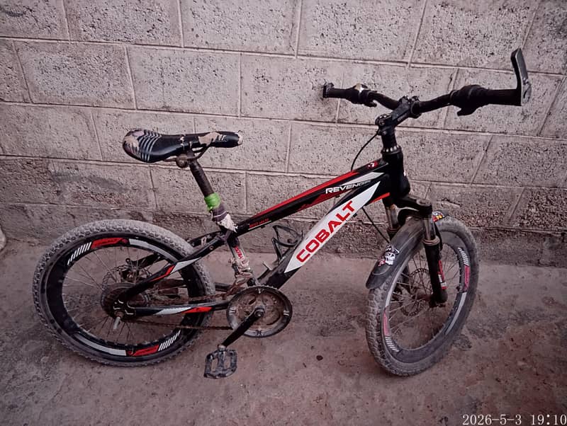bicycle 2