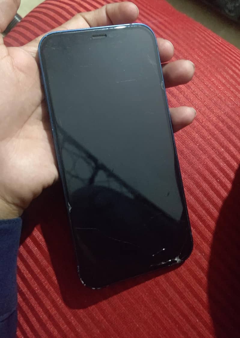 iPhone 12 1