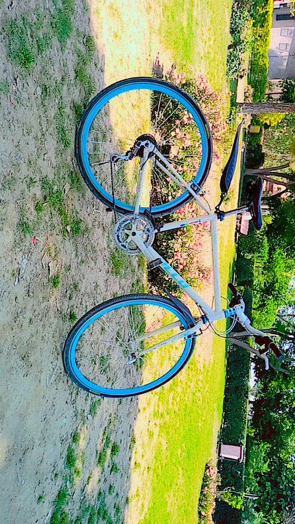 olx chat 0