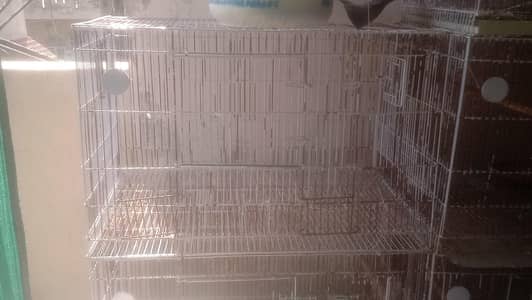 motti wire cage sale 2200 size 1,5 by 2,5