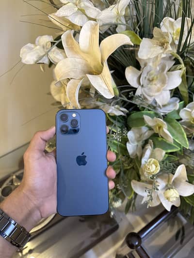 iPhone 12 Pro