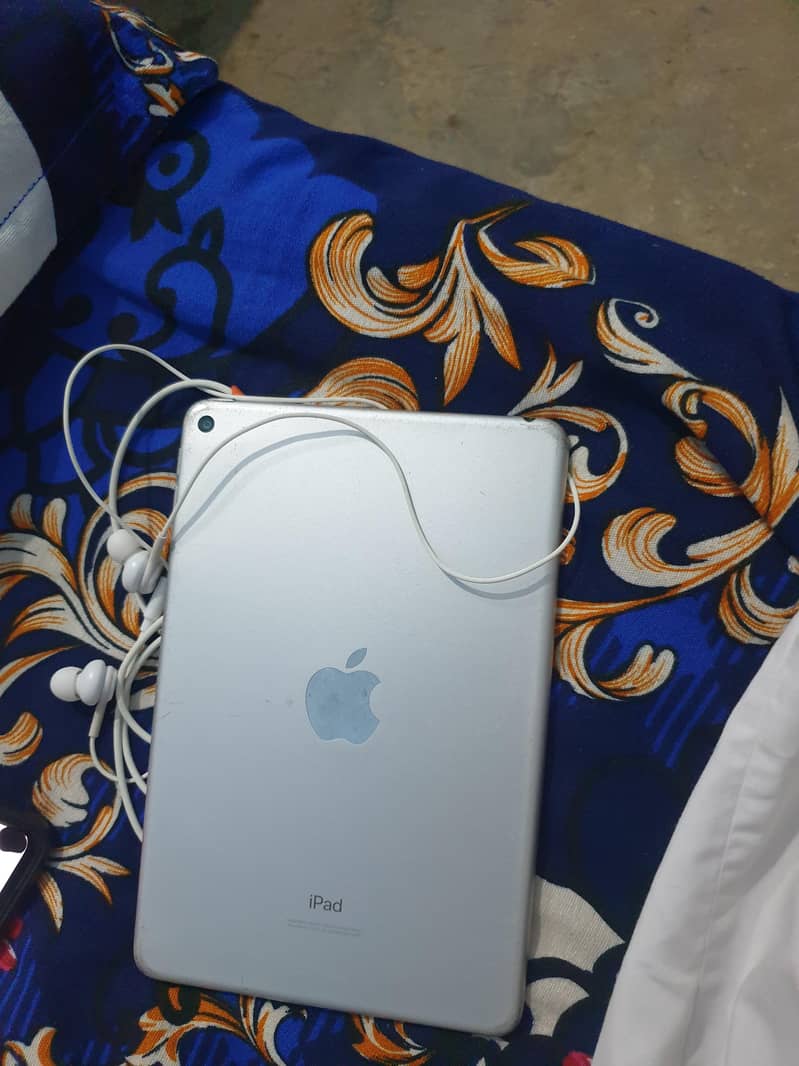 iPad mini 5 1