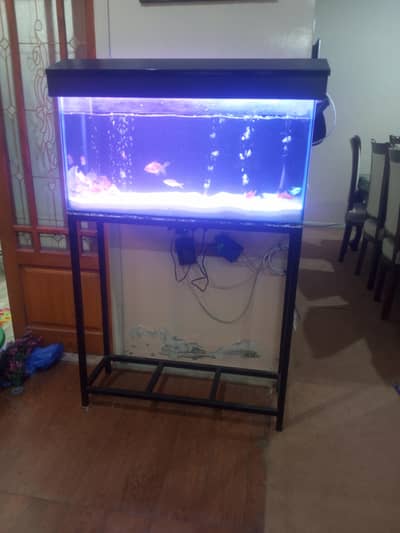 Fish Tank