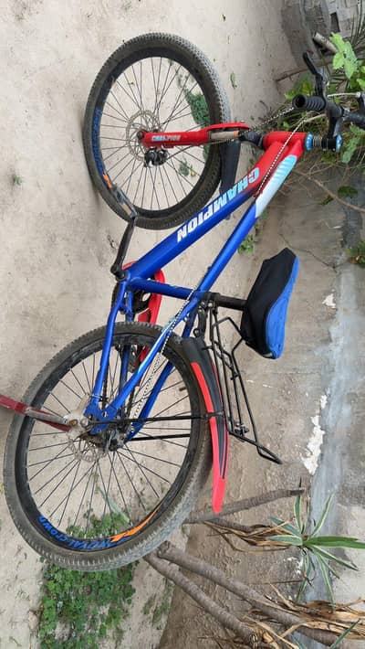 champion company cycle best cycle