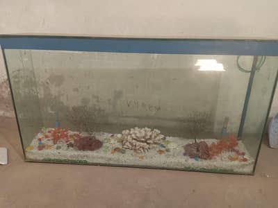 fish Aquarium for sale
