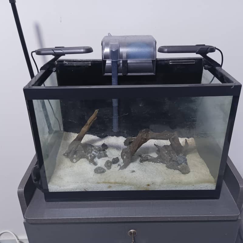 Full Aquarium Setup 0