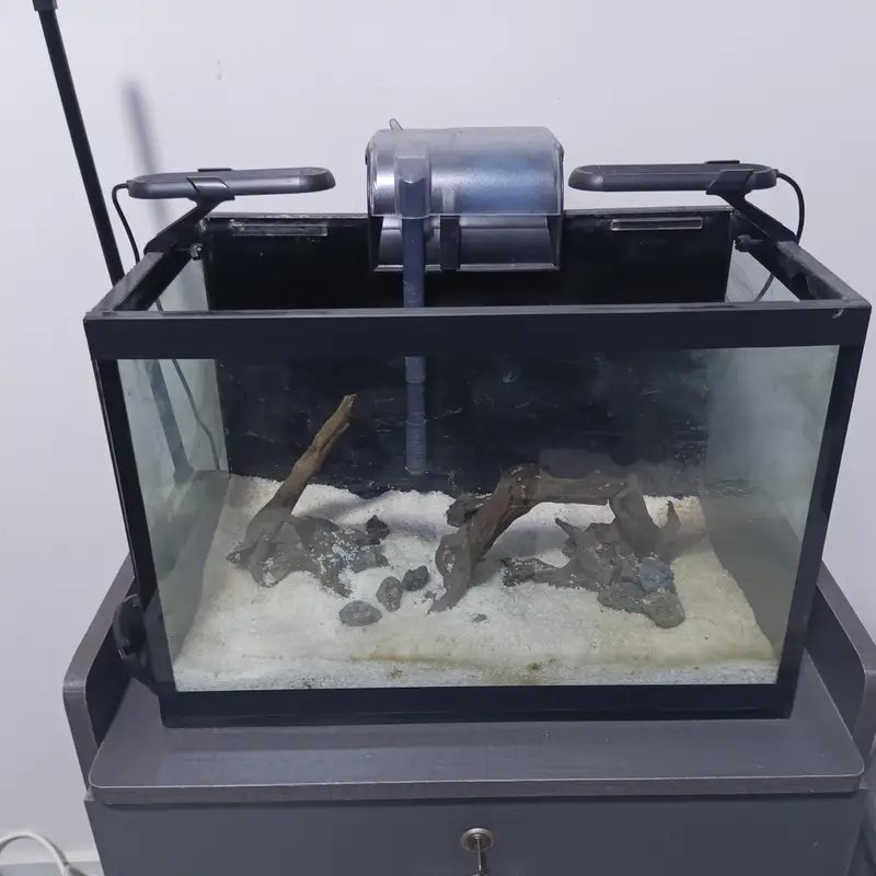 Full Aquarium Setup