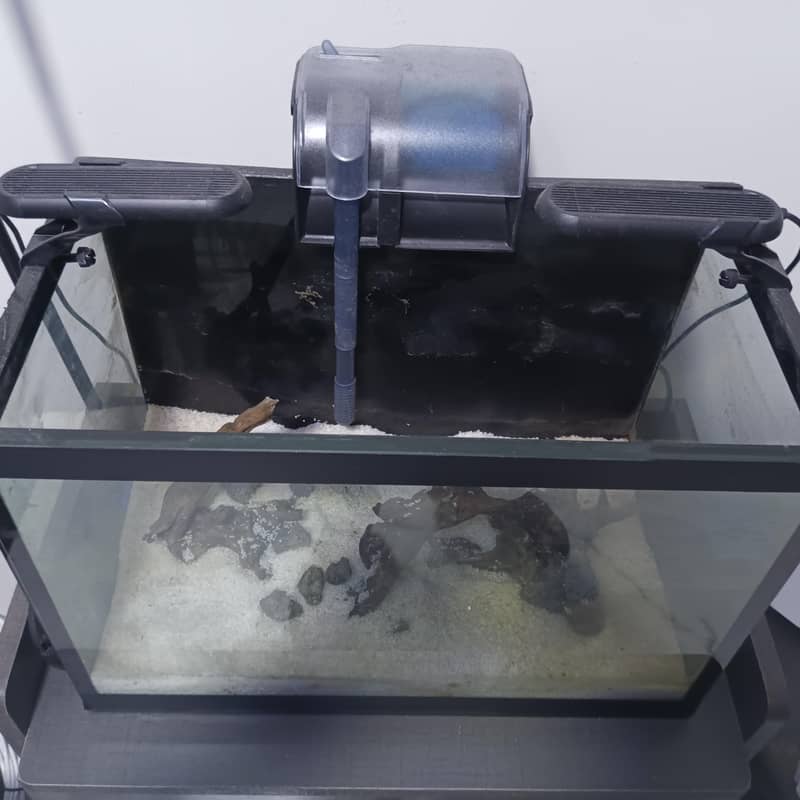 Full Aquarium Setup 1