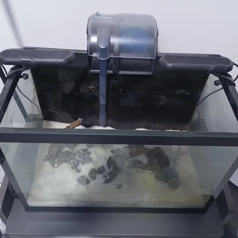 Full Aquarium Setup — photo 2