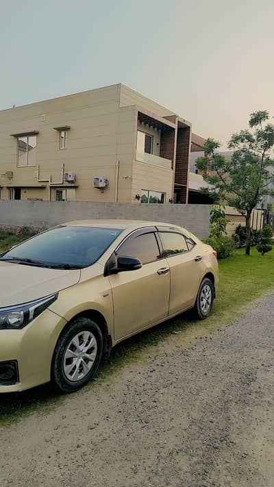 Gli almost totally genuine  gift for gli lovers