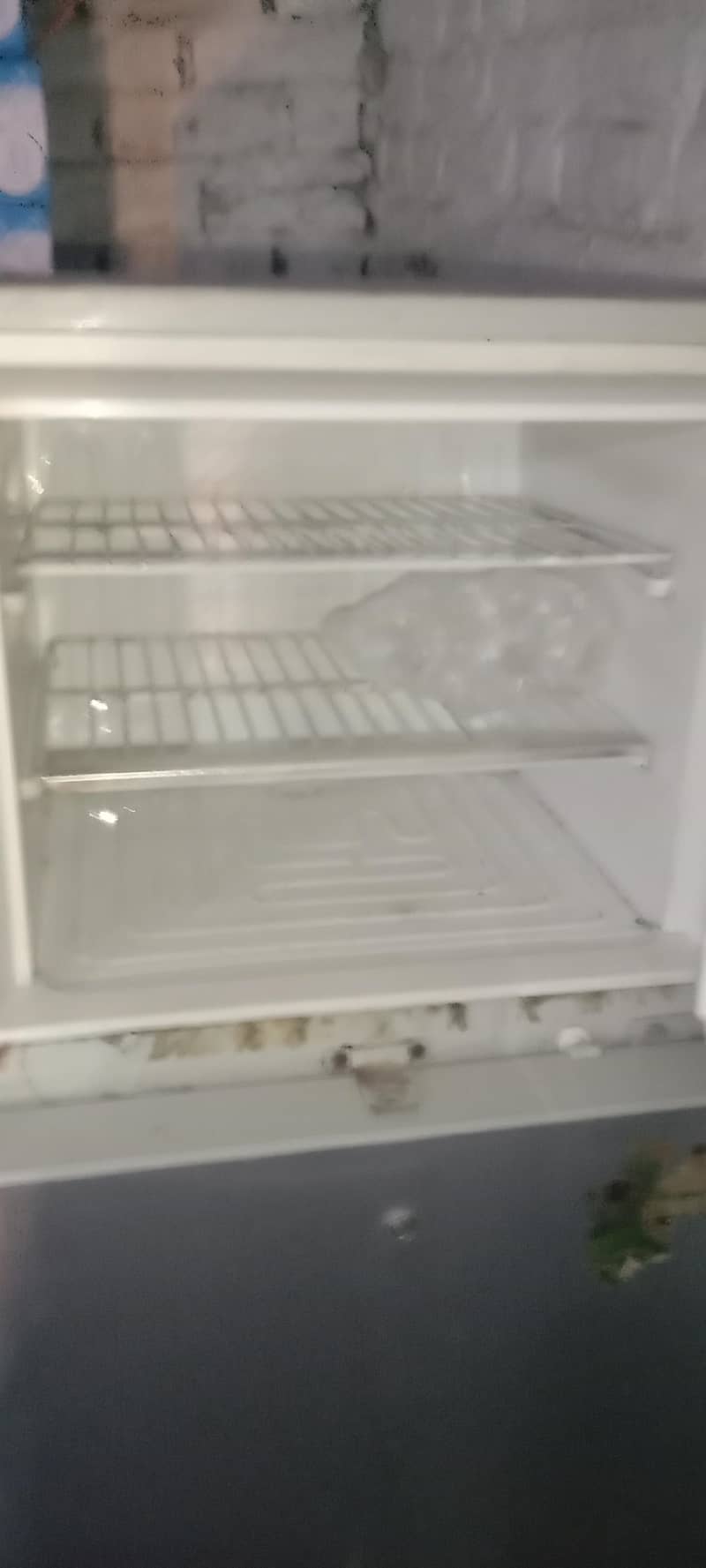 Waves Refrigerator 1