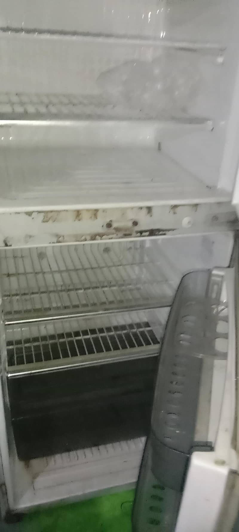 Waves Refrigerator 2