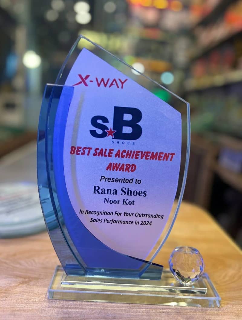 Award shields 18