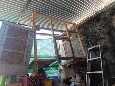 cage pinjra for sale