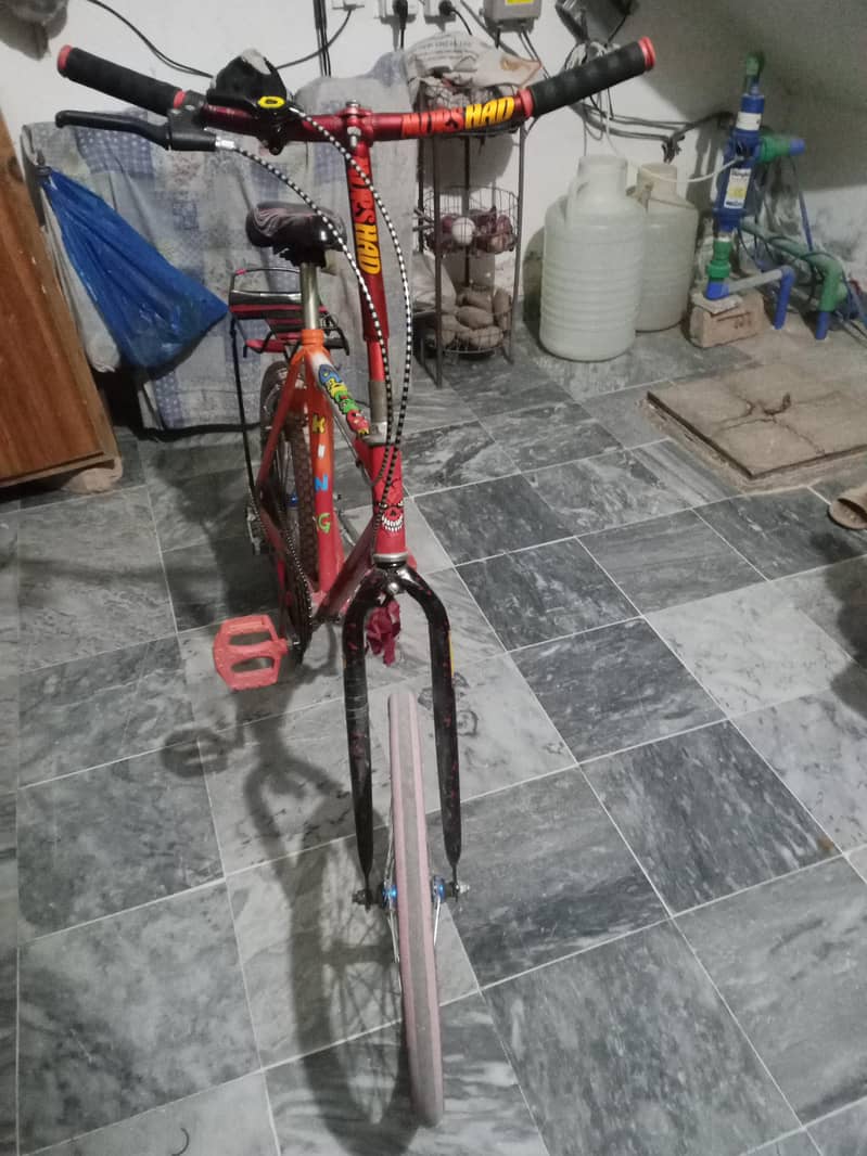 phoenix cycle 1