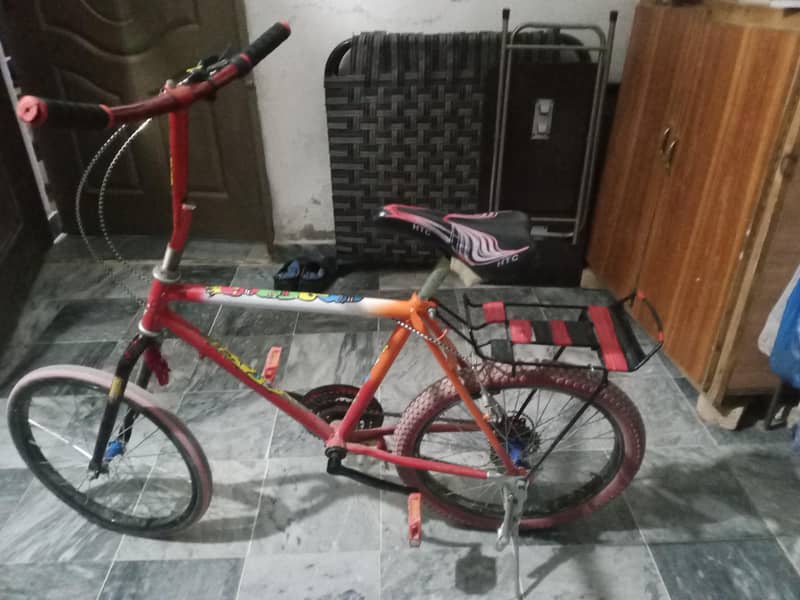 phoenix cycle 2