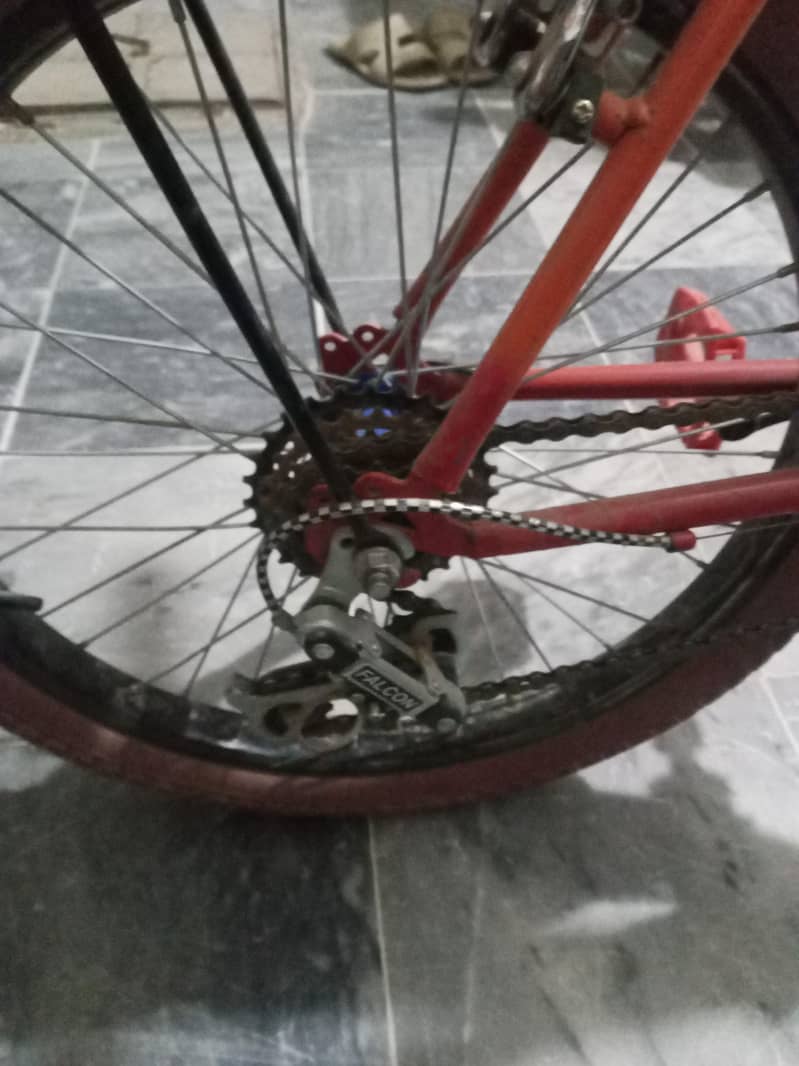 phoenix cycle 3