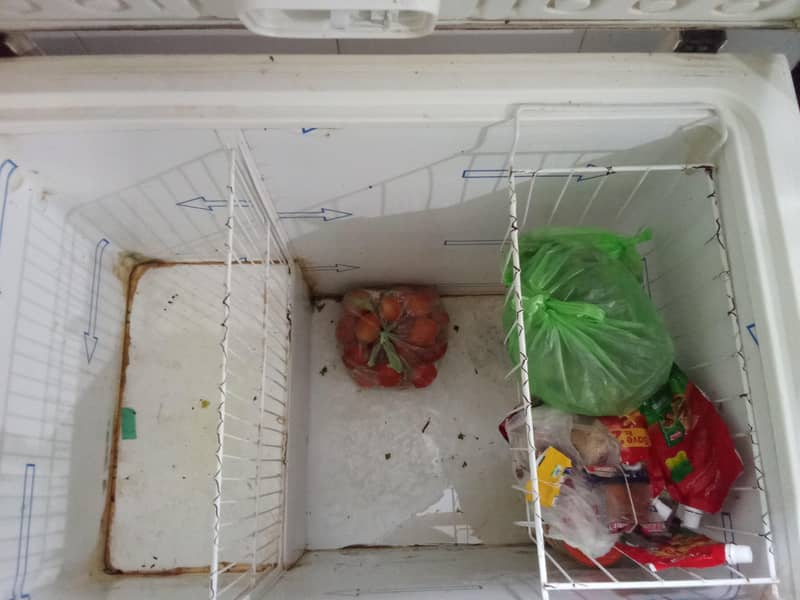 waves deep freezer 2