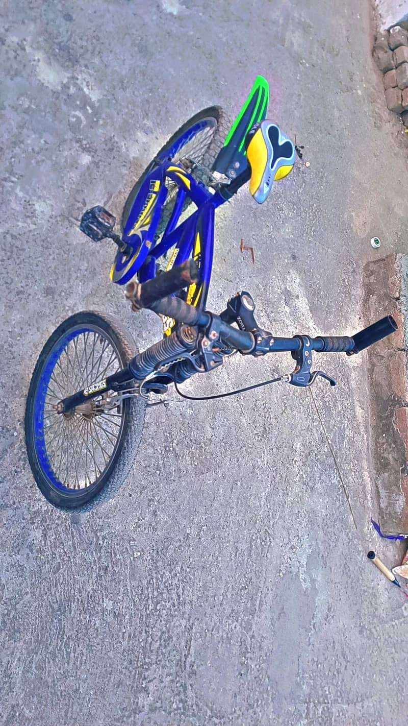 Cycle 2