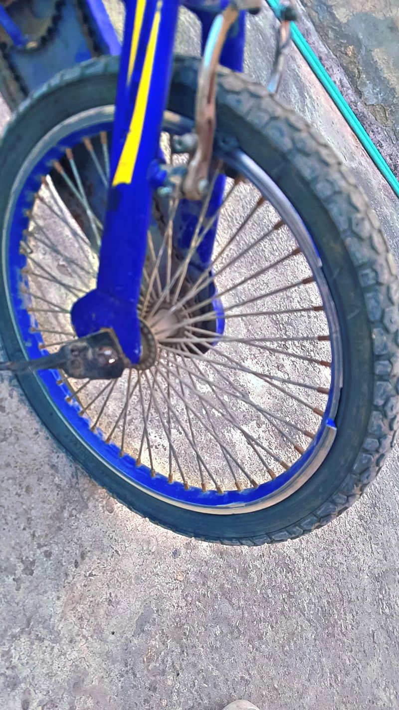 Cycle 4
