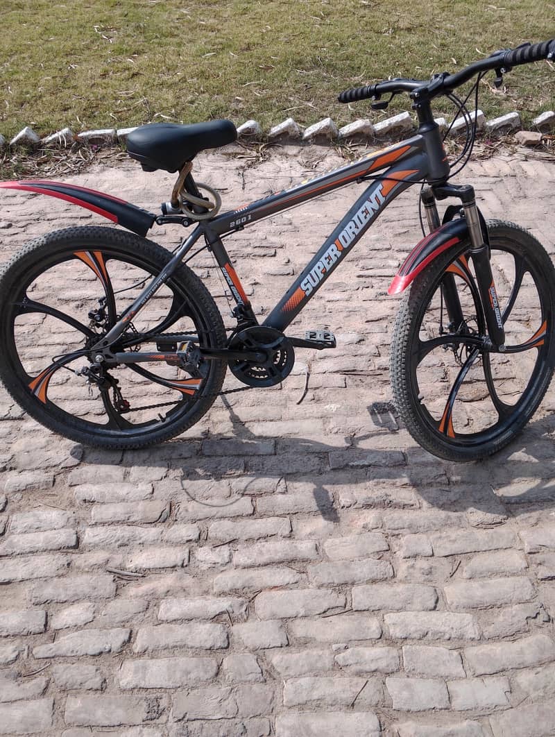 Bicycle Important 0