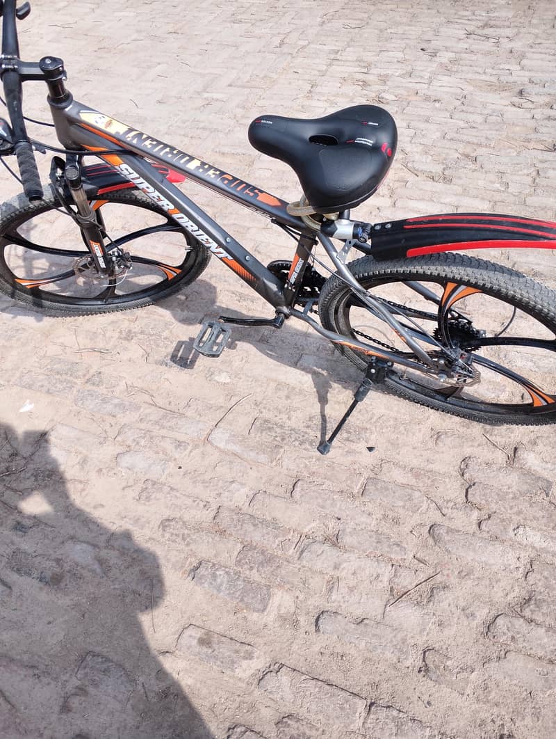 Bicycle Important 1
