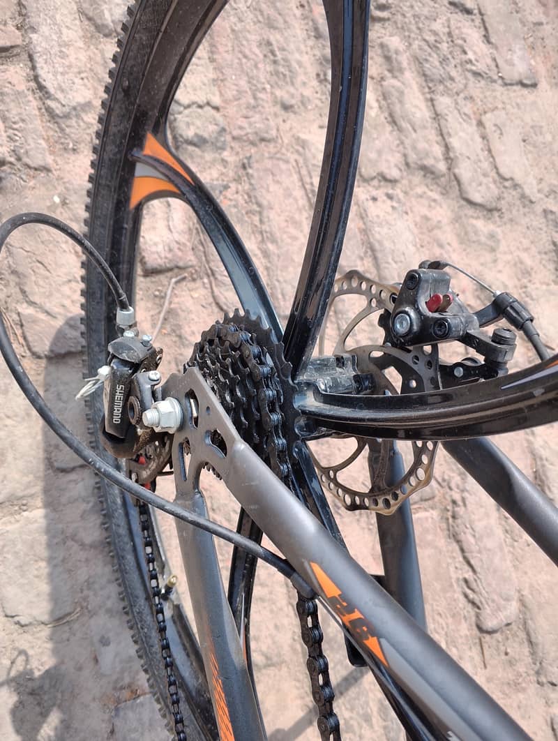 Bicycle Important 2